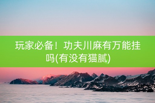玩家必备！功夫川麻有万能挂吗(有没有猫腻)