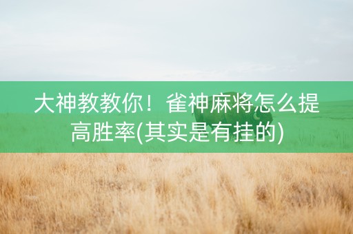 大神教教你！雀神麻将怎么提高胜率(其实是有挂的)