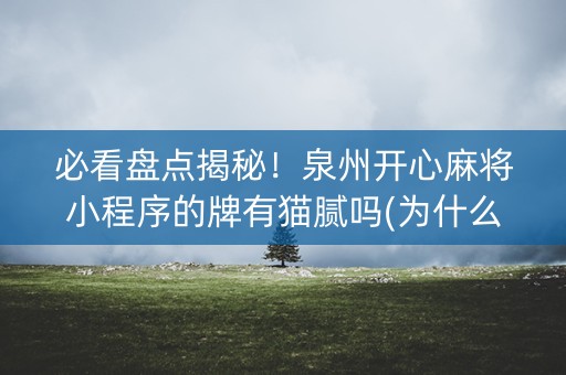 必看盘点揭秘！泉州开心麻将小程序的牌有猫腻吗(为什么老是输呢)