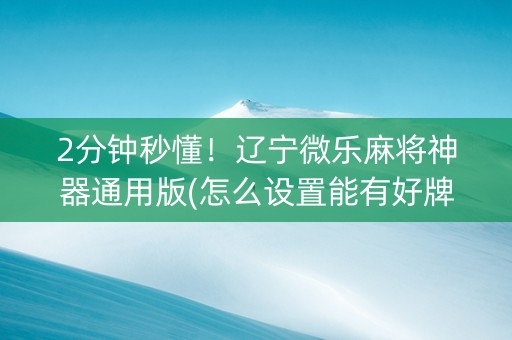 2分钟秒懂！辽宁微乐麻将神器通用版(怎么设置能有好牌)