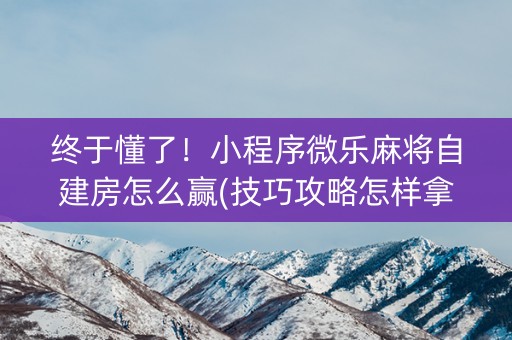终于懂了！小程序微乐麻将自建房怎么赢(技巧攻略怎样拿好牌)