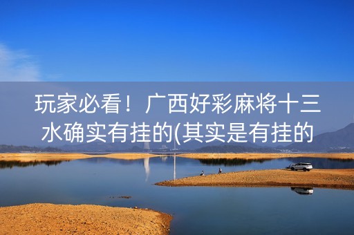 玩家必看！广西好彩麻将十三水确实有挂的(其实是有挂的)