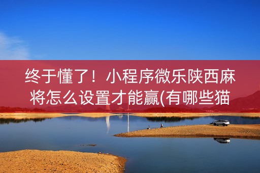 终于懂了！小程序微乐陕西麻将怎么设置才能赢(有哪些猫腻)