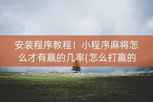 安装程序教程！小程序麻将怎么才有赢的几率(怎么打赢的几率大)