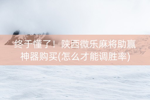 终于懂了！陕西微乐麻将助赢神器购买(怎么才能调胜率)