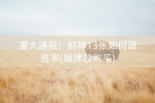 重大通报！财神13张如何调胜率(辅牌器购买)