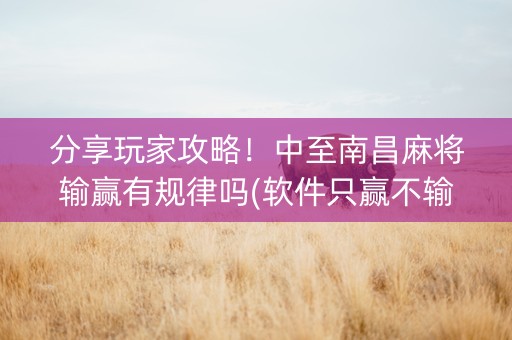 分享玩家攻略！中至南昌麻将输赢有规律吗(软件只赢不输)