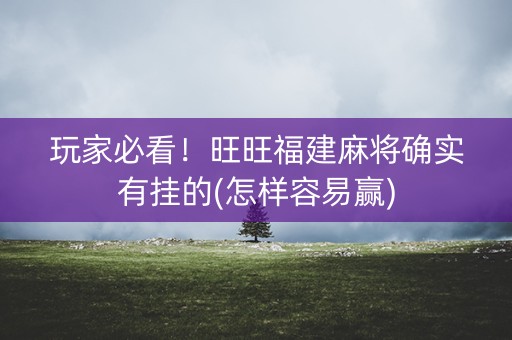 玩家必看！旺旺福建麻将确实有挂的(怎样容易赢)