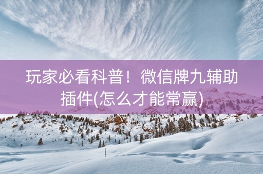 玩家必看科普！微信牌九辅助插件(怎么才能常赢)