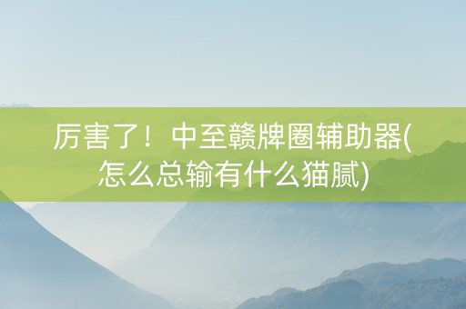 厉害了！中至赣牌圈辅助器(怎么总输有什么猫腻)
