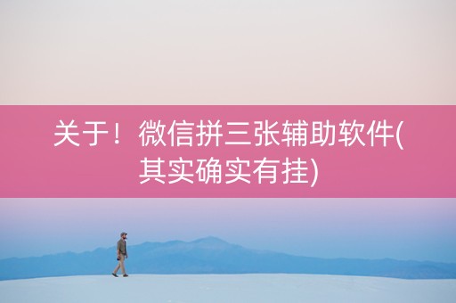 关于！微信拼三张辅助软件(其实确实有挂)