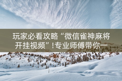 玩家必看攻略“微信雀神麻将开挂视频”!专业师傅带你一起了解（详细教程）-知乎