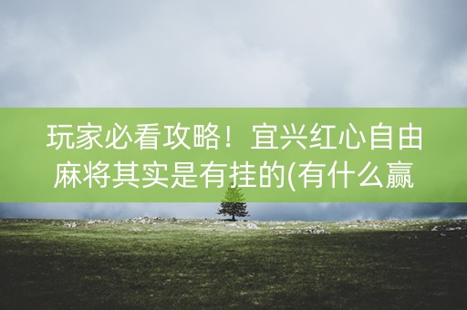 玩家必看攻略！宜兴红心自由麻将其实是有挂的(有什么赢的技巧)