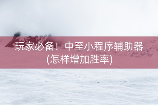 玩家必备！中至小程序辅助器(怎样增加胜率)