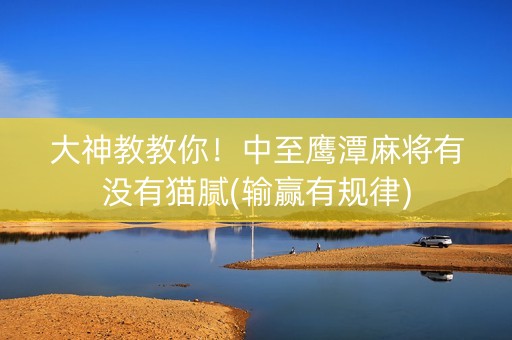 大神教教你！中至鹰潭麻将有没有猫腻(输赢有规律)