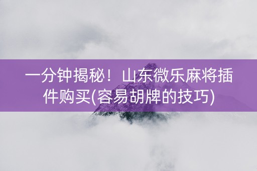 一分钟揭秘！山东微乐麻将插件购买(容易胡牌的技巧)
