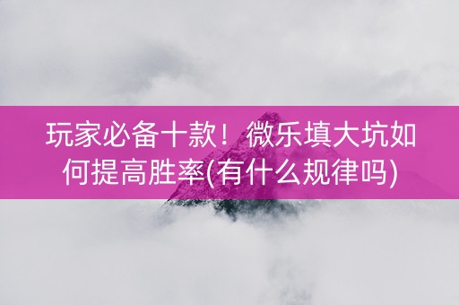 玩家必备十款！微乐填大坑如何提高胜率(有什么规律吗)