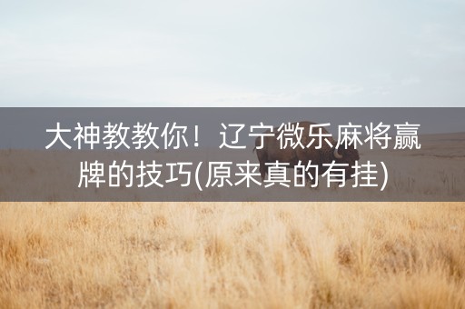 大神教教你！辽宁微乐麻将赢牌的技巧(原来真的有挂)