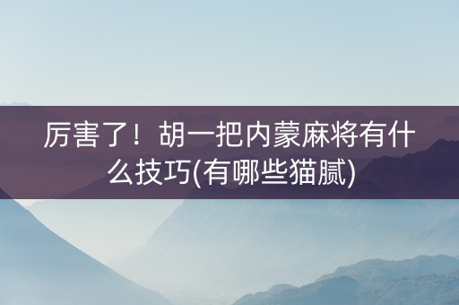 厉害了！胡一把内蒙麻将有什么技巧(有哪些猫腻)