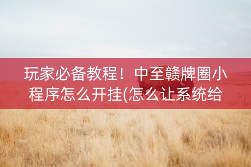 玩家必备教程！中至赣牌圈小程序怎么开挂(怎么让系统给你发好牌)