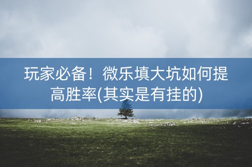 玩家必备！微乐填大坑如何提高胜率(其实是有挂的)