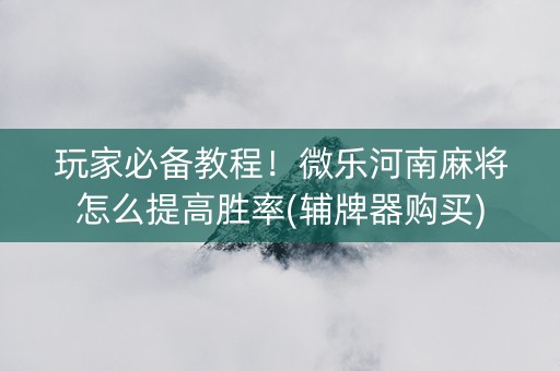 玩家必备教程！微乐河南麻将怎么提高胜率(辅牌器购买)