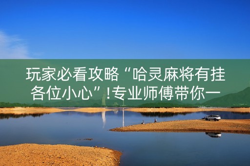 玩家必看攻略“哈灵麻将有挂各位小心”!专业师傅带你一起了解（详细教程）-知乎