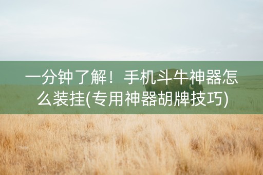 一分钟了解！手机斗牛神器怎么装挂(专用神器胡牌技巧)