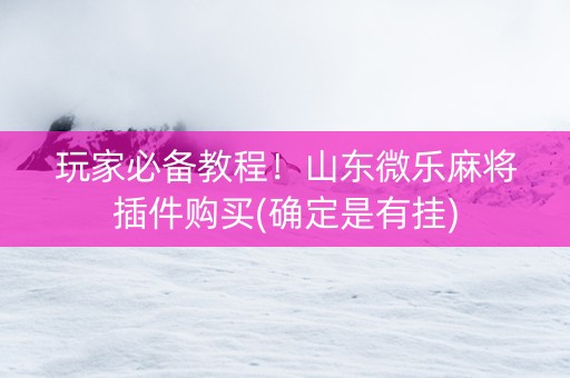 玩家必备教程！山东微乐麻将插件购买(确定是有挂)