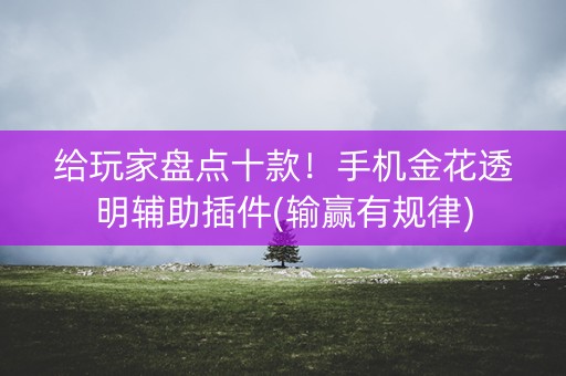 给玩家盘点十款！手机金花透明辅助插件(输赢有规律)
