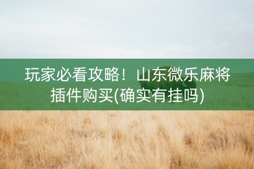 玩家必看攻略！山东微乐麻将插件购买(确实有挂吗)