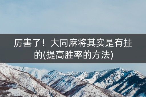 厉害了！大同麻将其实是有挂的(提高胜率的方法)