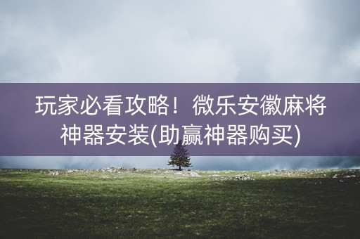 玩家必看攻略！微乐安徽麻将神器安装(助赢神器购买)
