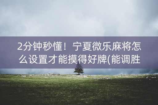 2分钟秒懂！宁夏微乐麻将怎么设置才能摸得好牌(能调胜率吗)