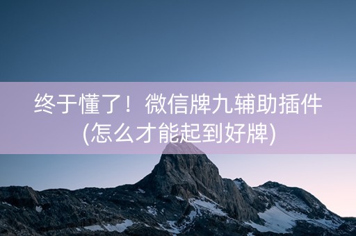 终于懂了！微信牌九辅助插件(怎么才能起到好牌)
