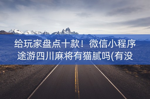 给玩家盘点十款！微信小程序途游四川麻将有猫腻吗(有没有技巧)