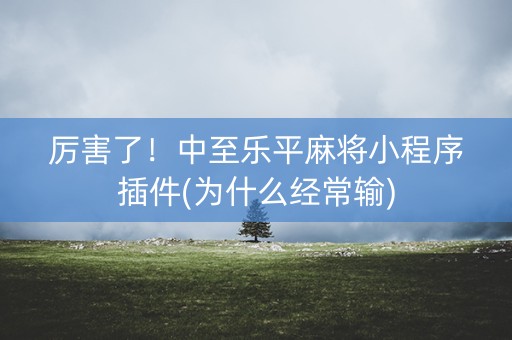 厉害了！中至乐平麻将小程序插件(为什么经常输)