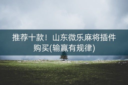 推荐十款！山东微乐麻将插件购买(输赢有规律)