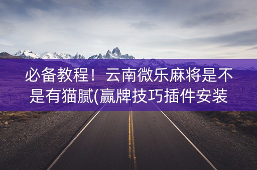 必备教程！云南微乐麻将是不是有猫腻(赢牌技巧插件安装)