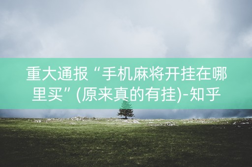 重大通报“手机麻将开挂在哪里买”(原来真的有挂)-知乎
