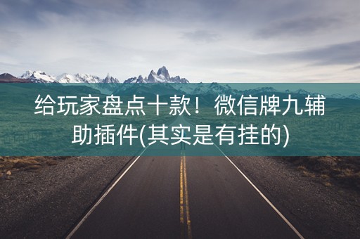 给玩家盘点十款！微信牌九辅助插件(其实是有挂的)