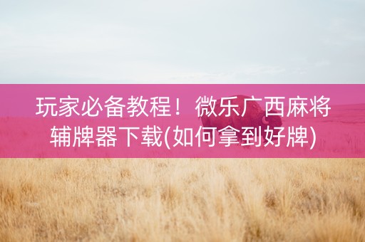 玩家必备教程！微乐广西麻将辅牌器下载(如何拿到好牌)