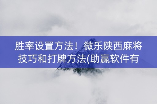 胜率设置方法！微乐陕西麻将技巧和打牌方法(助赢软件有规律吗)