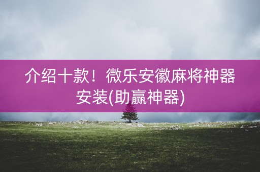 介绍十款！微乐安徽麻将神器安装(助赢神器)