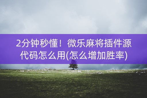 2分钟秒懂！微乐麻将插件源代码怎么用(怎么增加胜率)
