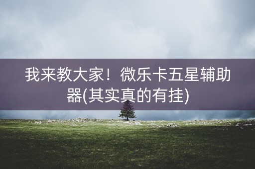 我来教大家！微乐卡五星辅助器(其实真的有挂)