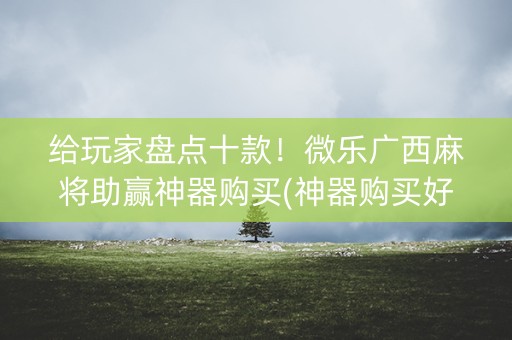 给玩家盘点十款！微乐广西麻将助赢神器购买(神器购买好牌规律)