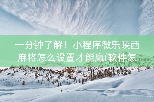 一分钟了解！小程序微乐陕西麻将怎么设置才能赢(软件怎么打赢)