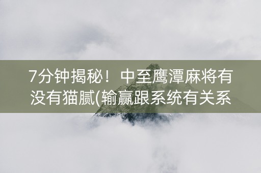7分钟揭秘！中至鹰潭麻将有没有猫腻(输赢跟系统有关系吗)