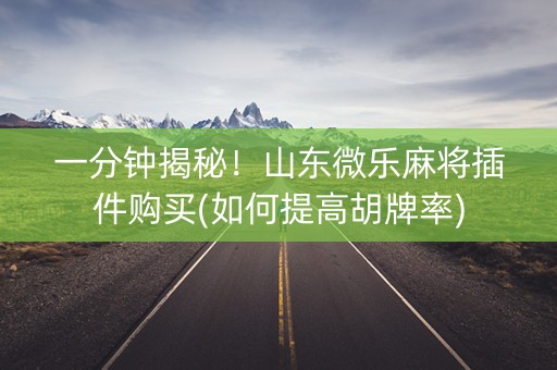 一分钟揭秘！山东微乐麻将插件购买(如何提高胡牌率)